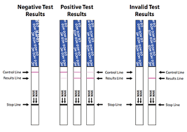 bfp early pregnancy test strips