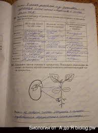 гдз по биологии 8 класс колесов маш беляев учебник Gdz Po Biologii 8 Klass Kamenskij Suhova Prakard