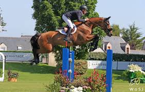 Home » sports » olympic equestrian results. Equestrian Canada Provisionally Nominates Mario Deslauriers And Bardolina 2 For The Tokyo Olympics World Of Showjumping