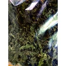 We did not find results for: Daun Remujung Daun Kumis Kucing Untuk Pernafasan Shopee Indonesia
