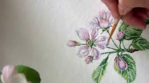 Maybe you would like to learn more about one of these? How To Paint Realistic Apple Blossom Botanical Painting Watercolor Youtube
