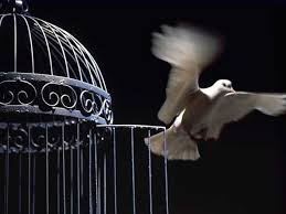 Bioshock Bird Or Cage Meaning 0910 Jpg Jpeg Image 600x450 Pixels The Caged Bird Sings Cage Bird