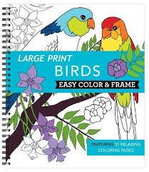 Color me posters for family (33.08 x 46.5 in) 4.6 out of 5 stars. Large Print Easy Color Frame Birds Adult Coloring Book New Seasons 9781645586838