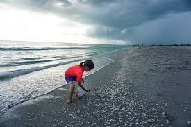 Don't miss out on great hotels and other accommodations near dunes golf and tennis club, castaways marina, and port sanibel marina. Sanibel Island Beaches Hotels On The Beach And Public Sanibel Beaches Trekaroo