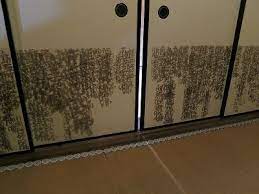 山口晃 平等院養林庵書院奉納襖絵 弐代目 青い日記帳 山口晃 山口 林