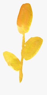 Polish your personal project or design with these flower corner transparent png images, make it even more personalized and more attractive. Watercolor Yellow Flowers Png Free Transparent Clipart Clipartkey