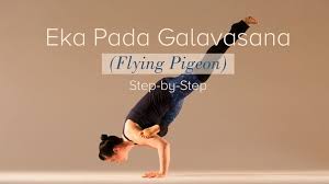 Eka Pada Galavasana Flying Pigeon Step By Step Flying Pigeon Flying Pigeon Pose Pigeon Pose