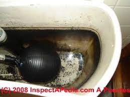 These microbes use inorganic sulfur compounds as electron acceptors to sustain several activities such as respiration, conserving energy and growth, in absence of oxygen. Sulphur Odors In Water Identify Cure Sulphur Smells Or Odors In Drinking Water