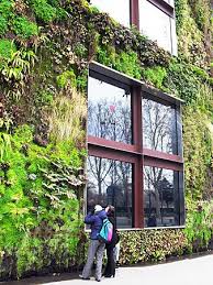 verticale tuin parijs musee du quai branly het etnische museum van parijs een fantastische opstelling met bijzonder mooie en a verticale tuin parijs tuin