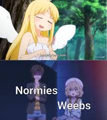 Perfect In 2020 Really Funny Memes Crazy Funny Memes Anime Memes Funny