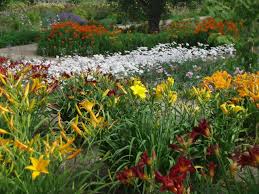 See more ideas about garden design, landscape design, outdoor gardens. Perennial Garden Design Ideas Diy
