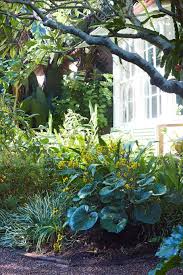 An Exceptional 19th Century Garden At Bronte House Bronte House Australian Homes Garden