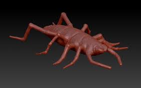 No, the camel spider (also know as a sun spider, wind spider and winder scorpion) is a member of the order solifugae, and as such do not spin webs. Loke Poh Ying Camel Spider