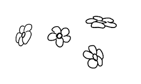 ☛ cherry blossoms painting tutorial with other. How To Draw A Cherry Blossom 10 Steps With Pictures Wikihow