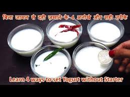 ब न ज मन स दह ज म न क 4 अन ख और सट क तर क How To Make Dahi Withou Yogurt Recipes Dahi Vada Recipe Yogurt