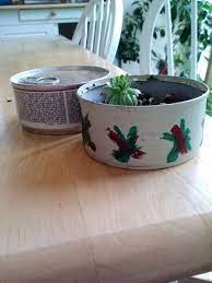 Planted In Cat Food Cans Canning Plants Can Crafts