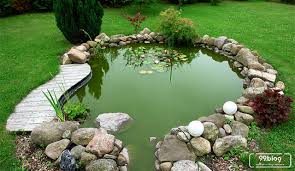 Asal mula ikan koi:ikan koi berasal dari ikan mas. 7 Desain Kolam Ikan Koi Minimalis Yang Sederhana