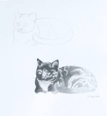 We did not find results for: Tips To Help You Learn To Draw Animals Craftsy