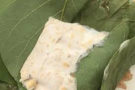 Selain itu, daun jati belanda juga mengandung musilago yang dapat mengembang dalam lambung sehingga menekan nafsu makan. Berita Daun Jati Belanda Terbaru Hari Ini Sajian Sedap