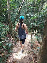 Bukit kiara park has become a favourite location for outdoor enthusiasts who come here in droves to enjoy the greenery. Jungle Hiking In Kuala Lumpur Bukit Kiara Trail Guide Travel Mermaid