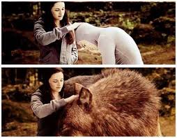 Making Of Twilight Behind The Scenes Scenes In This Moment