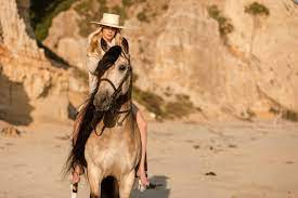 Portrait of buckskin young andalusian stallion posing near stable. Gambler Buckskin Andalusian Home Facebook