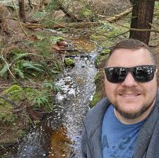 Accident involving loose dogs