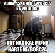 Wybory korespondencyjne Strona 2 - Paczaizm.pl