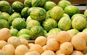 Cantaloupe melons = 34 cal there are 34 calories in 100 g of cantaloupe melons. Cantaloupe And Watermelon Nutrition Women S Health