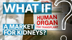 Eggs can be sold for at least double what men get for sperm. What If You Could Legally Sell Your Kidney What If Youtube