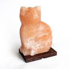 They are reported to have various health benefits such as improving sleep, increasing blood flow, and. Cat Himalayan Salt Lamp Jurassic Jacks Fossil Shack
