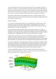 El co2 para la marihuana es tan necesario como los nutrientes, la luz o el riego. Seminario Fveg Plantas Cam Docsity
