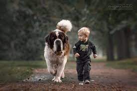 大きな犬と小さな子供たち ひかたま 光の魂たち ワンコ 美しい動物 ペット