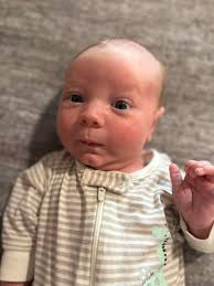 Welcome to the family, Baby Augustine! Auggie and I will spend the next few  months together while I have time away from work. Thank you for all the  well wishes- we appreciate