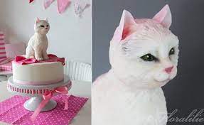 I feel like a monster ruining its lovely face! Kitty Cat Cakes For Cat Lovers Cake Geek Magazine