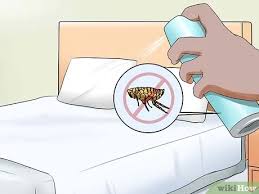 You may want to do a commercial. How To Check Cats For Fleas 13 Steps With Pictures Wikihow Pet