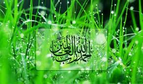 نعم الله عز وجل لاتحصى