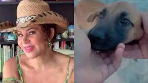 Llueven críticas para maluma en redes sociales, luego de que. Lady Noriega Asi Llamo Maluma A Una Perrita Y La Respuesta De La Actriz No Se Hizo Esperar