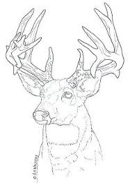 This beautiful twisting tree has been burnt into a unique piece of. Image Detail For Wood Deer Patterns Free Patterns Wood Burning Stencils Simple Wood Carving Wood Burning Patterns