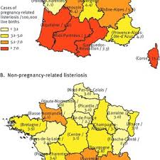Edith Laurent's research works