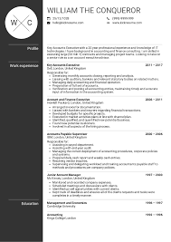 Channel account manager responsibilities you should learn about before submitting your resume. Account Executive Sample Resume Account Manager Sample Resume Account Executive Resume Examples Key Account Resume Examples Account Executive Manager Resume
