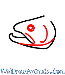 We did not find results for: How To Draw A Trout