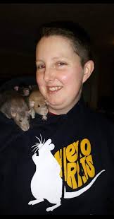 Introducing myself and sharing a photo of my three pets