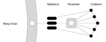Cardano's recent bullish move has been viral in the crypto waters. Cardano Vs Polkadot Which Is Better By Isaiah Mccall Yard Couch May 2021 Medium