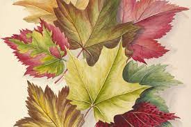 We did not find results for: The History Of Thanksgiving In Canada Canada S History