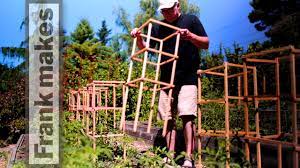 What's a cheap way to stake all these. Tomato Trellises Youtube