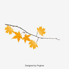 Autumn Branch Vector Png Free Download Fall Leaves Drawing Fall Leaves Tattoo Maple Leaf Art