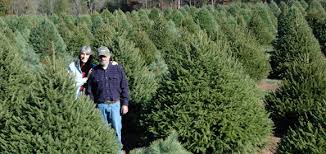 Maybe you would like to learn more about one of these? Wolgast Tree Farm Christmas Trees Bluebird Boxes Local Honey