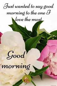 Best 1658 Amazing Good Morning Pics Wallpaper Pictures Free Download 2021 A good day means a lot in our life, what's wrong if. good morning pics wallpaper pictures