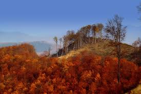 +41 79 444 84 65. Ungarn Matra Gebirge Landschaft Kostenloses Foto Auf Pixabay